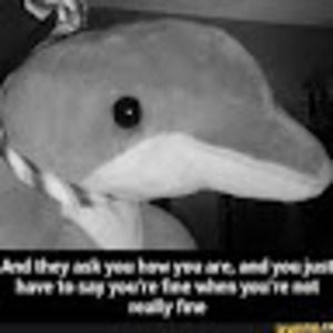 Meet your Posher, Mia